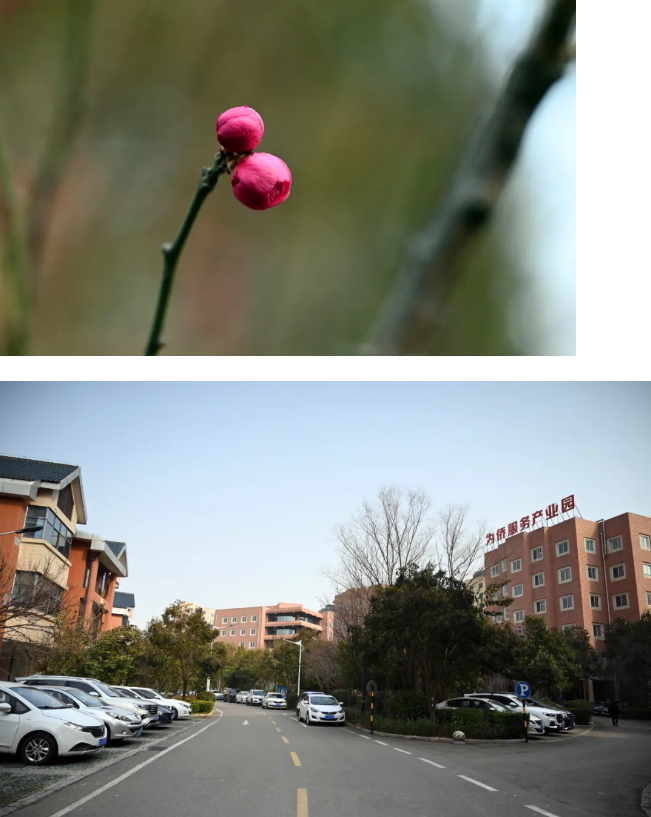 1718610846314104.png image.png